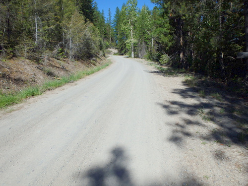 GDMBR: We are now climbing NF-4106 for Huckleberry Pass.